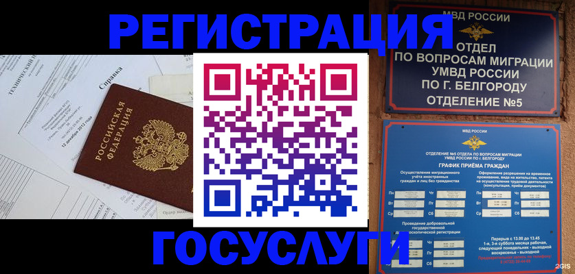 временная прописка в Волжске
